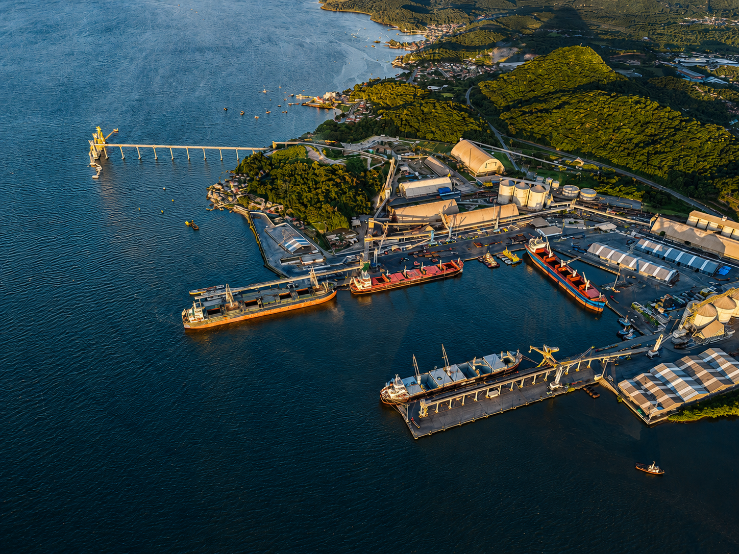 Porto de São Francisco do Sul conquista prêmio inédito da OEA e vira referência ambiental nas Américas