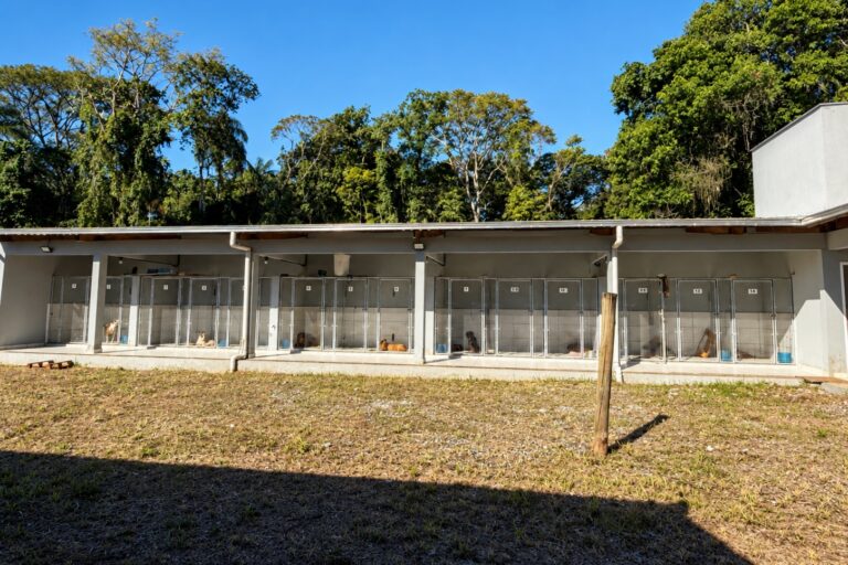 Justiça obriga São Francisco do Sul a oferecer atendimento veterinário 24 horas